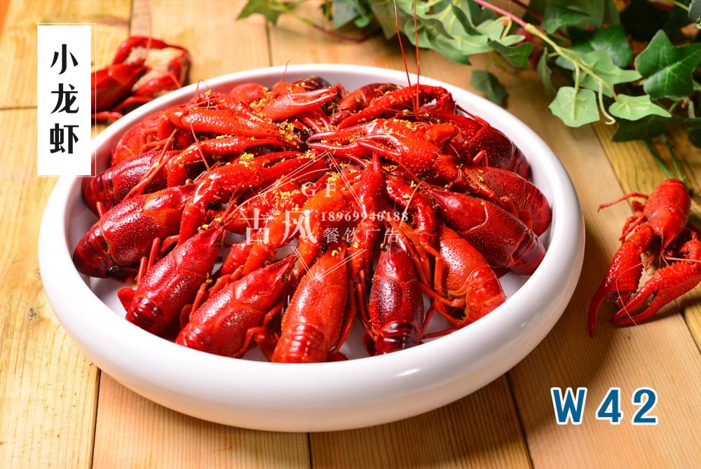 W42小(xiǎo)龍蝦