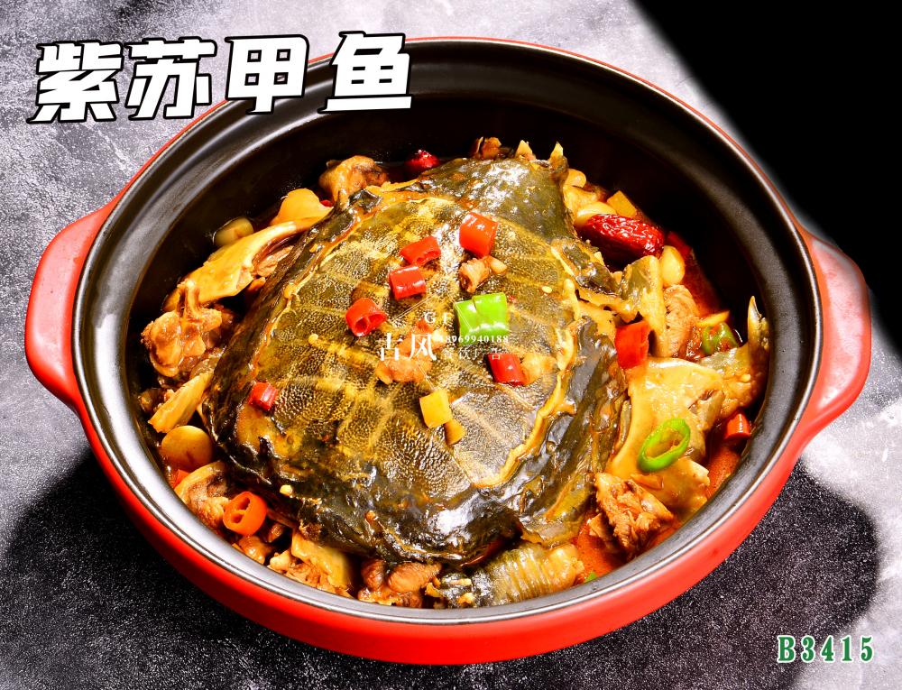 B3415紫蘇甲魚
