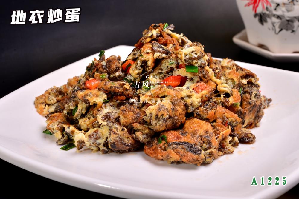 A1225地(dì)衣炒蛋