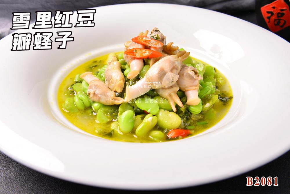 B2081雪(xuě)裡(lǐ)紅(hóng)豆瓣蛏子(zǐ)